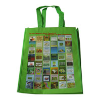 衡水LB11覆膜无纺布广告袋